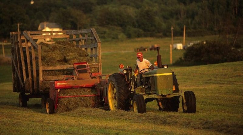 A farmer in the United States. Photo Credit: Paul Boisvert