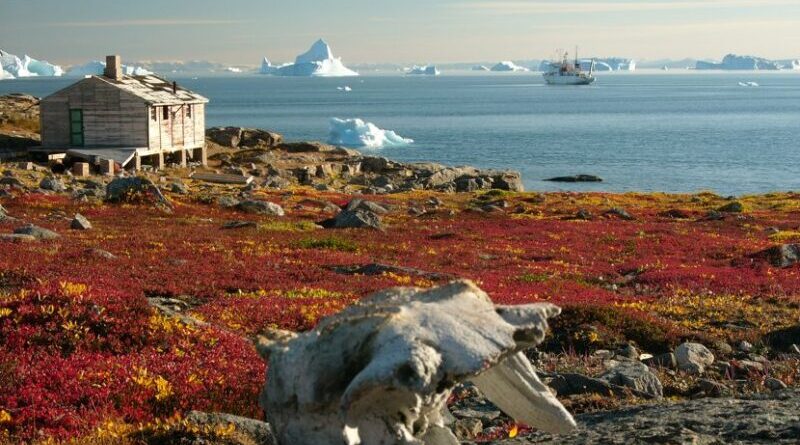 Tundra in Greenland. Photo by Hannes Grobe, AWI, Wikipedia Commons.