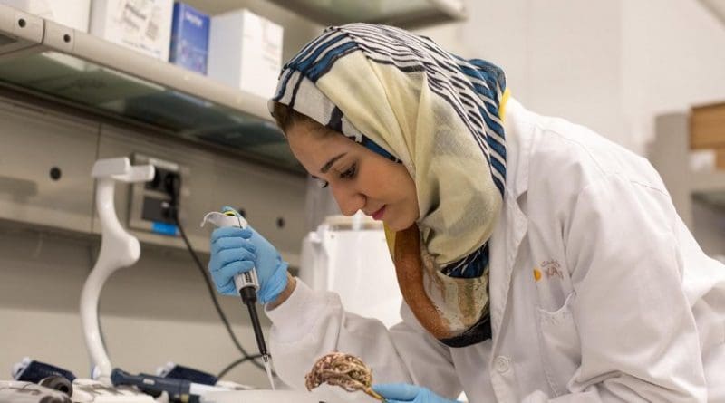 PhD student Dina Hajjar has been examining anticancer properties of plants used in traditional medicine in Saudi Arabia. Credit © KAUST 2017