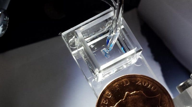This is an image of the 3-D droplet bioprinter, developed by the Bayley Research Group at Oxford, producing mm-sized tissues Credit credit Sam Olof/ Alexander Graham