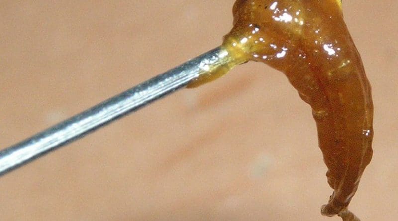 Hash oil butane extract. Photo by Coaster420, Wikipedia Commons.