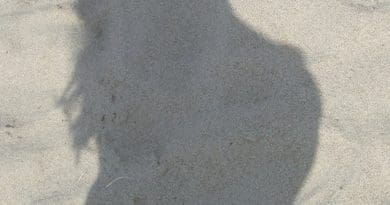 Stress During Pregnancy May Affect Baby’s Sex, Risk Of Preterm Birth Shadow pregnant mother pregnancy