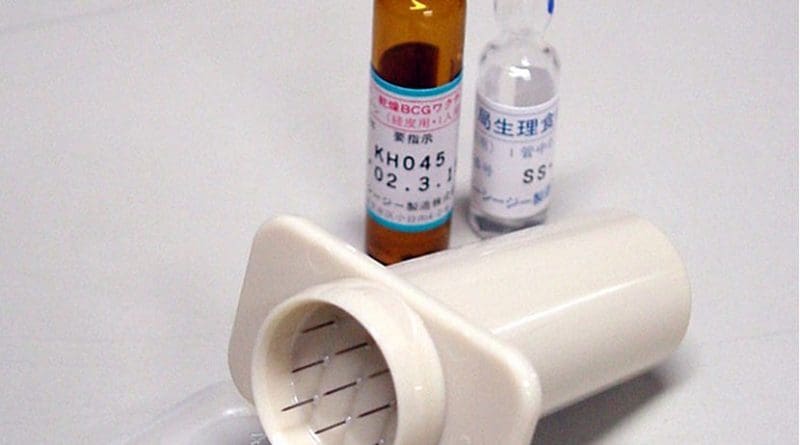 An apparatus (4–5 cm length, with 9 short needles) used for BCG vaccination in Japan, shown with ampules of BCG and saline. Photo by Y tambe, Wikipedia Commons.