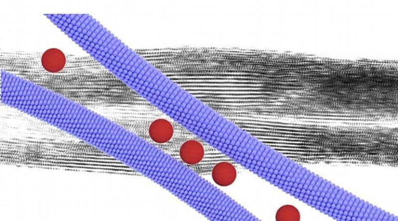 Zipper-like assembly of nanocomposite leads to superlattice wires that are characterized by a well-defined periodic internal structure. Image Dr. Nonappa and Ville Liljeström.