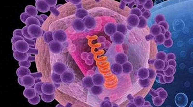 An artist's rendition of HIV (foreground). The knobs (purple) covering the virus are sugar-protein molecules, including gp120, that shield the rest of the virus (pink). Credit National Cancer Institute