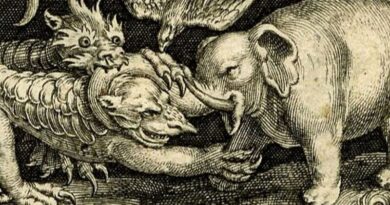 Dragon and elephant fighting.