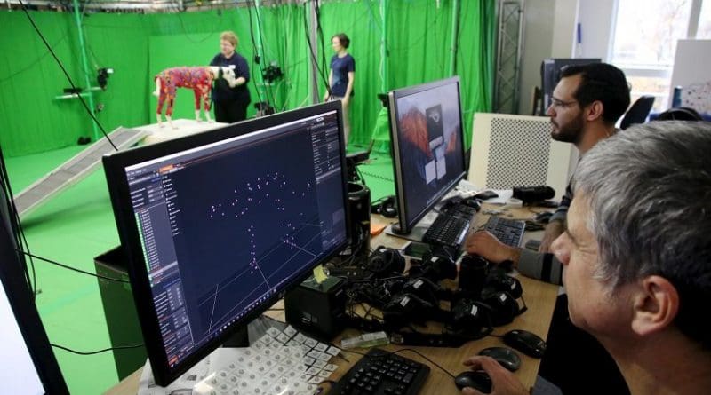 Cameras in the studio detect light reflected from markers worn by the dogs, so researchers can capture the movement accurately. Credit University of Bath