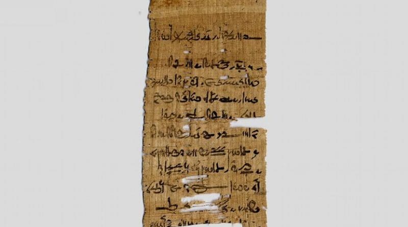 This is a fragment from the Tebtunis temple library in the Papyrus Carlsberg Collection. Credit University of Copenhagen