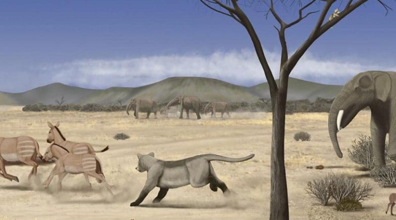 This is an image of an arid savanna during the middle Miocene in Madrid. Credit Marco Ansón