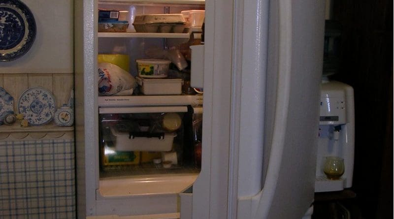 food fridge refrigerator