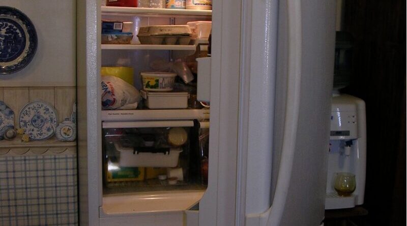 food fridge refrigerator
