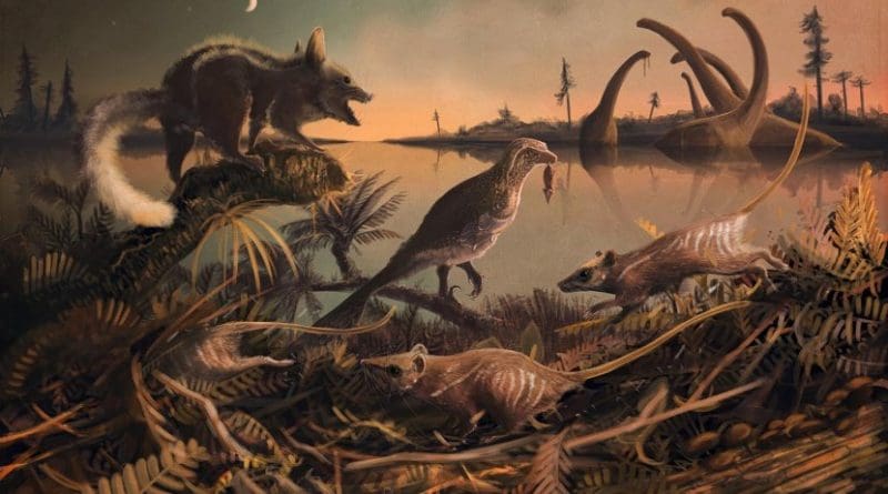 This is a reconstruction of the small, rat-like creatures that lived 145 million years ago in the shadow of the dinosaurs. Credit Dr Mark Witton, palaeo-artist, University of Portsmouth