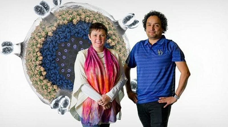 Tatyana Polenova and Juan Perilla, professors in the Department of Chemistry and Biochemistry at the University of Delaware, with a computer-generated model of HIV, the virus that causes AIDS. Credit University of Delaware/ Evan Krape and Jeffrey Chase