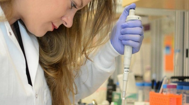 Researcher Sophie Zaaijer uses the MinION, a portable DNA sequencer, to get a quick genetic readout of a sample of cells. Credit New York Genome Center