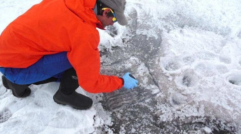 Study co-author Nathan Chrismas collecting surface ice for analysis. Credit Karen Cameron/Sara Penrhyn Jones