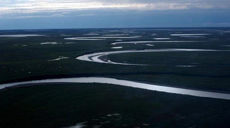 Fish Creek wanders through the National Petroleum Reserve-Alaska, a 22.8 million acre region managed by the Bureau of Land Management on Alaska's North Slope. USGS has periodically assessed oil and gas resource potential there. These assessments can be found here: https://energy.usgs.gov/RegionalStudies/Alaska/NPRA.aspx (Credit: David Houseknecht, USGS. Public domain.) Credit David Houseknecht, USGS