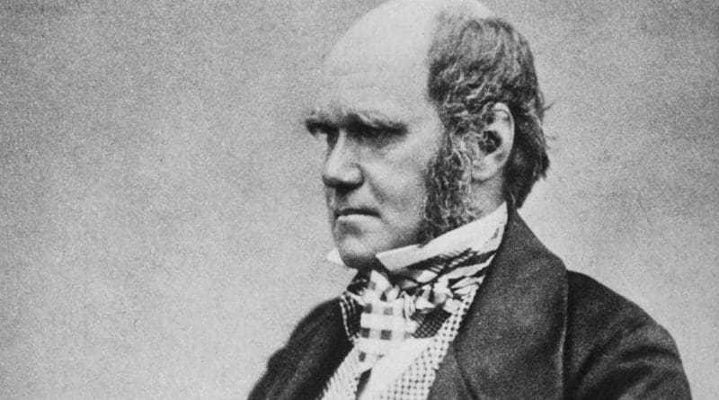 Charles Darwin. Photo: Wikipedia Commons.