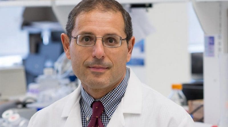 Domenico Praticò, MD, Professor in the Departments of Pharmacology and Microbiology and Director of the Alzheimer's Center at the Lewis Katz School of Medicine at Temple University, as well as senior investigator on the study. Credit Lewis Katz School of Medicine at Temple University