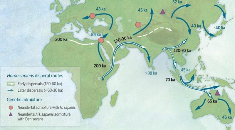 Map of sites and postulated migratory pathways associated with modern humans dispersing across Asia during the Late Pleistocene. Credit Bae et al. 2017. On the origin of modern humans: Asian perspectives. Science. Image by: Katerina Douka and Michelle O'Reilly