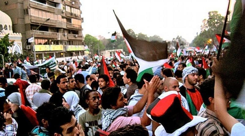 A pro-Palestine protest in Cairo, Egypt. Photo by Gigi Ibrahim, Wikimedia Commons.