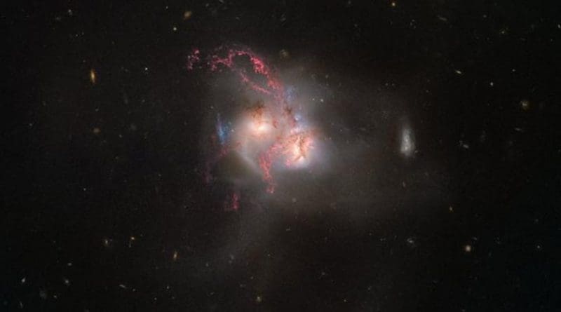 NGC 5256 is a pair of galaxies in its final stage of merging. It was previously observed by Hubble as part of a collection of 59 images of merging galaxies, released on Hubble's 18th anniversary on April 24, 2008. The new data make the gas and dust being whirled around inside and outside the galaxy more visible than ever before. Credit ESA/Hubble, NASA