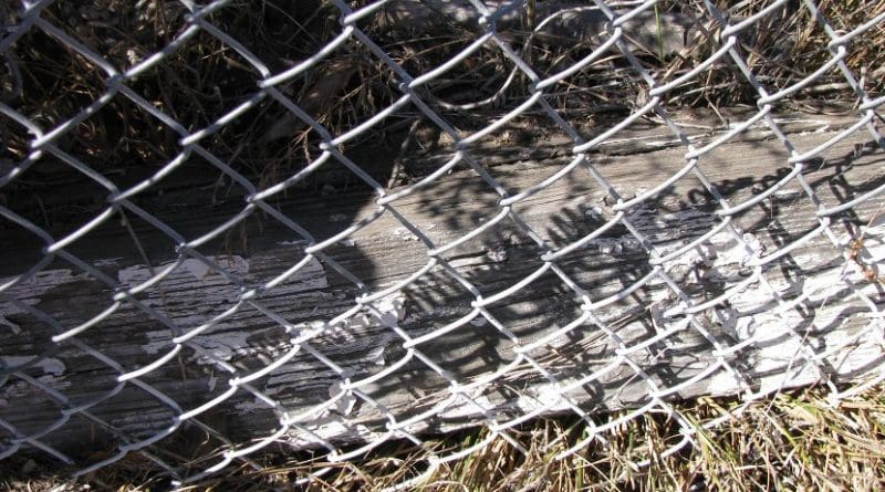fence