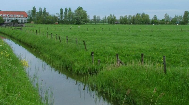 farm stream agriculture