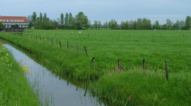 farm stream agriculture
