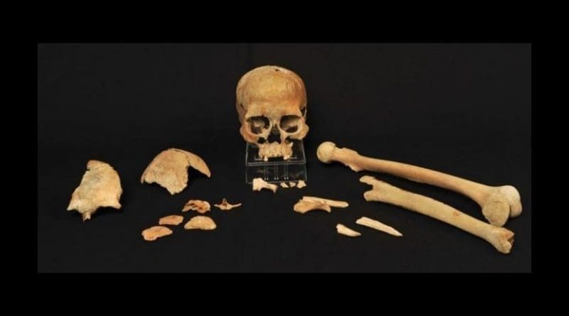 These are skeletal fragments from Hummervikholmen, one of sites featured in this study. Credit Beate Kjørslevik