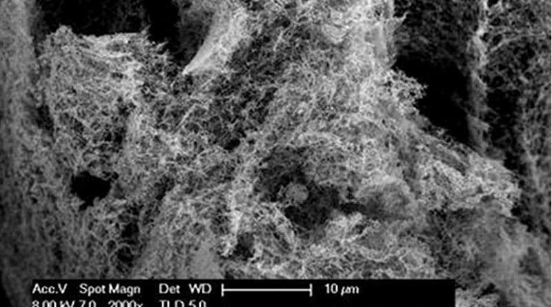 WSU researchers have found a way to create large amounts of inexpensive nanofoam catalysts that can facilitate the generation of hydrogen on a large scale by splitting water molecules. Credit Washington State University