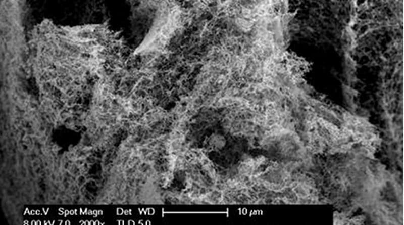 WSU researchers have found a way to create large amounts of inexpensive nanofoam catalysts that can facilitate the generation of hydrogen on a large scale by splitting water molecules. Credit Washington State University