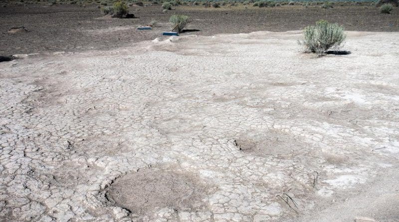 Footprints of mammoths, dated to 43,000 years ago, are seen in a portion of a trackway that was uncovered by researchers in 2017 in an ancient dry lake bed in Lake County, Oregon. Credit Photos by Greg Shine, Bureau of Land Management