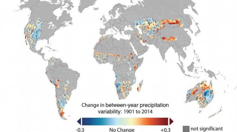 Overall, both within and between-year precipitation variability has been increasing for global grazing lands. This map shows the changes in between-year variability: Of the total land area considered pasture in this analysis, 20 percent did not experience significant changes (in gray), while 31 percent experienced significant decreases (cool colors) and 49 percent experienced significant increases in precipitation variability (warm colors). Credit Nature Climate Change