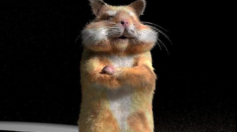 Rendering of a hamster, generated with the researchers' method. Credit University of California San Diego