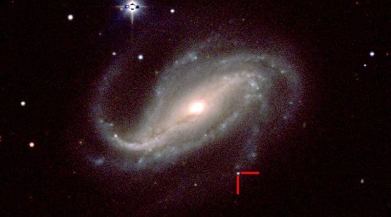 This is a color image of supernova 2016gkg in spiral galaxy NGC 613 taken by a group of UC Santa Cruz astronomers on Feb. 18, 2017, with the 1-meter Swope telescope. Credit CARNEGIE INSTITUTION FOR SCIENCE, LAS CAMPANAS OBSERVATORY, CHILE