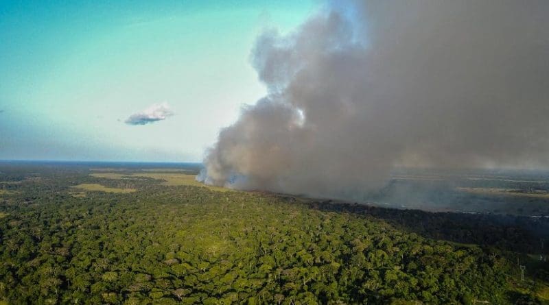 Researchers found that nitrogen from large-scale fires is being swept up into the atmosphere and deposited on the forests of the Congo Basin. Credit Travis Drake