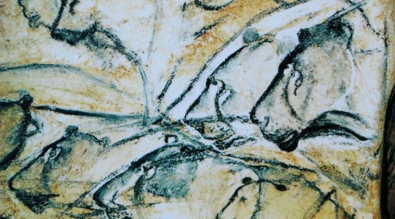 Replica of drawing of lions painted in the Chauvet Cave. Art in the cave has been identified as created by early modern humans. Credit Public Domain
