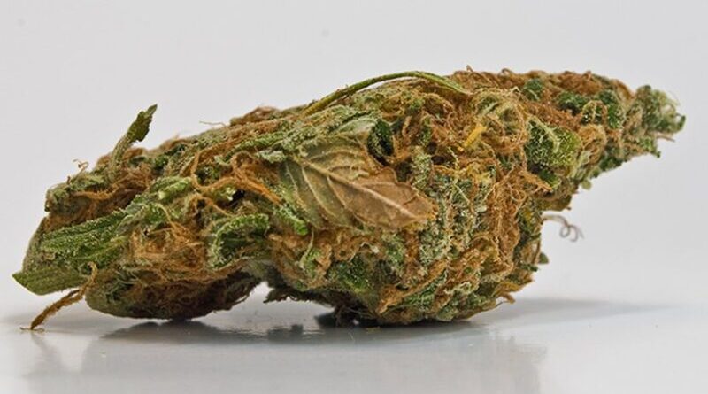 Marijuana