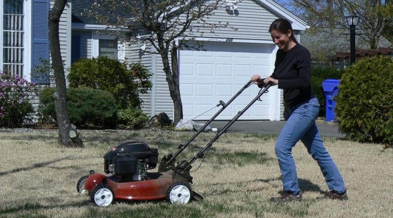 Ecologist Susannah Lerman of UMass Amherst mowing a suburban lawn that was part of her study of bee populations and diversity. In exchange for participation, homeowners got free lawn mowing from the researchers, who cut roughly 350 miles of grass over the two-year study. Credit UMass Amherst