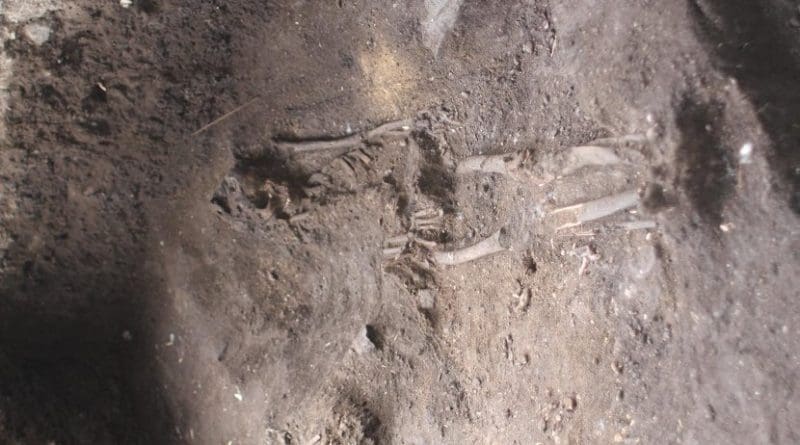 Burial excavations on Uripiv Island Malakula. Credit ANU