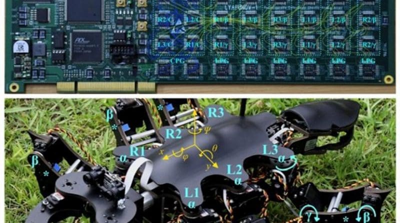 Views of the Circuit Board Implementing the Controller and of the Robot. (Reproduced with permission from published article). Credit IEEE ACCESS