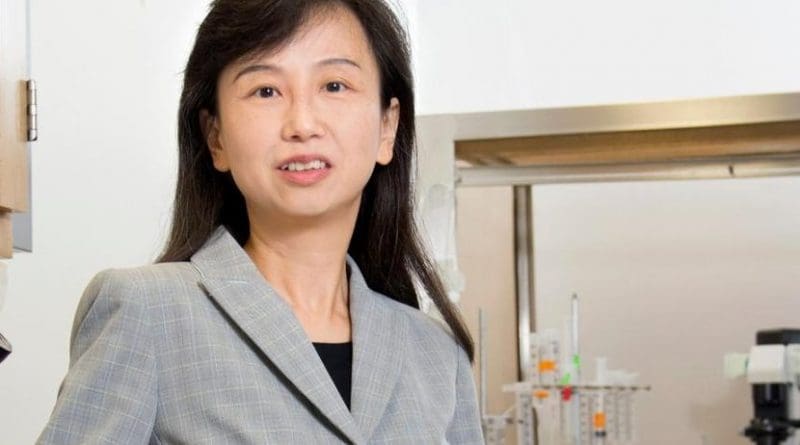 Zhen Yan, PhD, professor, Department of Physiology and Biophysics, has founded a startup company based on the promising results. Credit Sandy Kicman/University at Buffalo