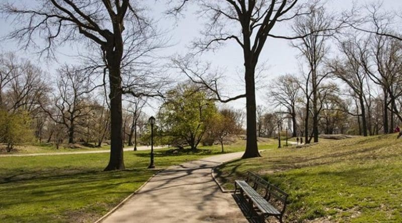 Scientists with the USDA Forest Service estimate that between 2009 and 2014, tree cover in the Nation's urban/community areas declined by 0.7 percent, which translates to losing an estimated 36 million trees or approximately 175,000 acres of tree cover annually. Credit Creative Commons