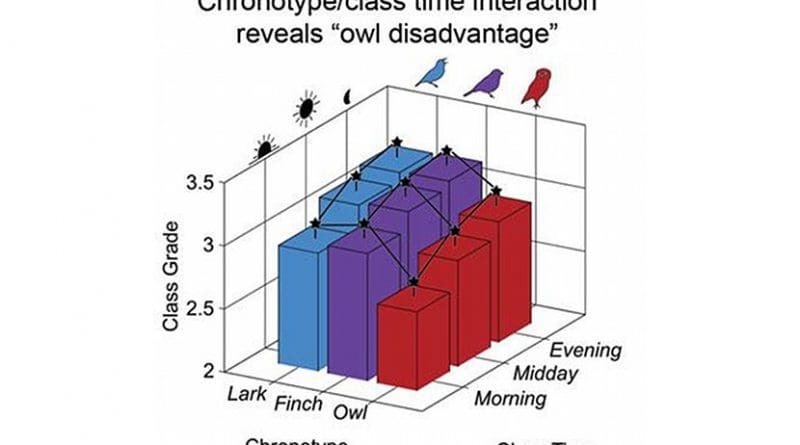 Owls performed worst of all the groups due to chronic social jet lag. Credit Benjamin Smarr