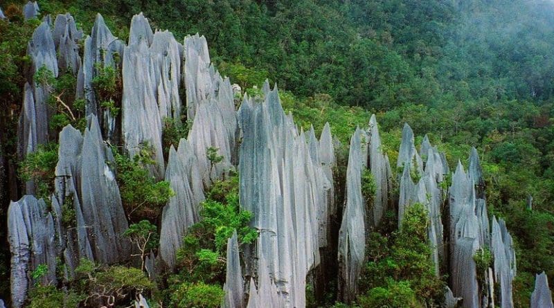 The Pinnacles of Gunung Mulu in Borneo are an example of where limestone rock weathering would be expected to produce significant levels of nitrogen. Credit Paul White on FLICKR