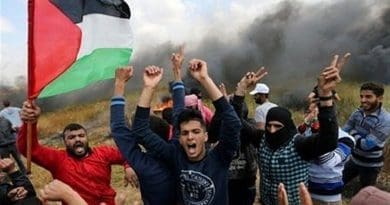 Palestine supporters. Photo Credit: Tasnim News Agency