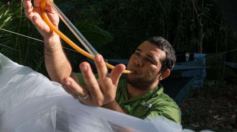 Jose Loaiza, STRI research associate and staff scientist at Panama's INDICASAT, collecting mosquitoes in Coiba National Park. Credit Credit: Sean Mattson, STRI