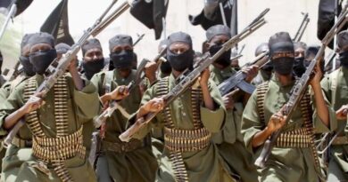 Al Qaeda militants.