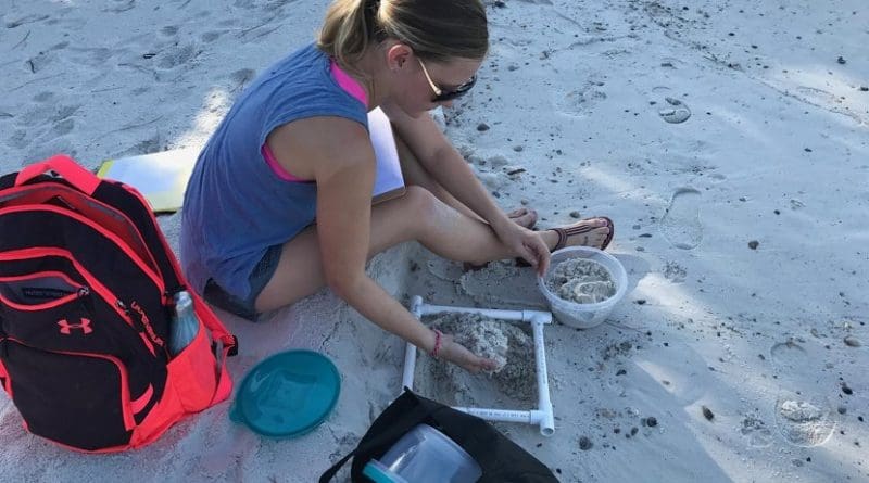 Student researcher Victoria Beckwith surveyed 10 important loggerhead turtle nesting beaches along the Gulf coast. Microplastics were present at each site. Credit Victoria Beckwith