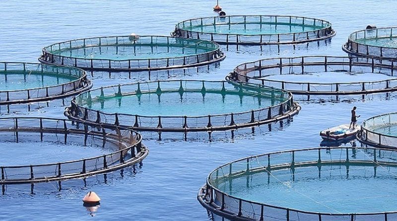 Fish farm. Photo by sc1733, Wikimedia Commons.